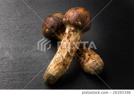 The finest Japanese matsutake mushroom Domestic matsutake mushroom The finest Japanese matsutake mushroom Domestic matsutake mushroom 26393386