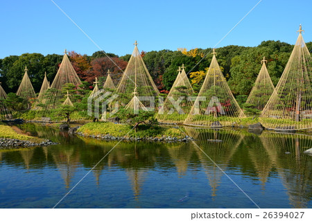 秋天天鵝庭院 秋天天鵝庭院 26394027