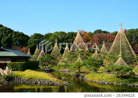 Autumn swan garden Autumn swan garden 26394028