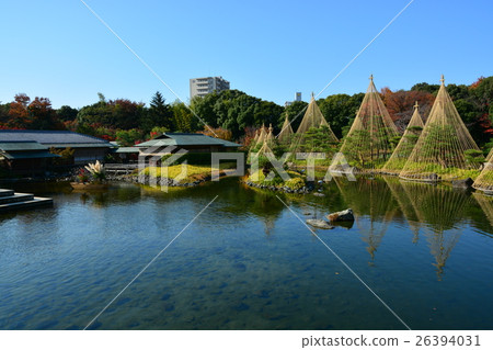 秋天天鵝庭院 秋天天鵝庭院 26394031