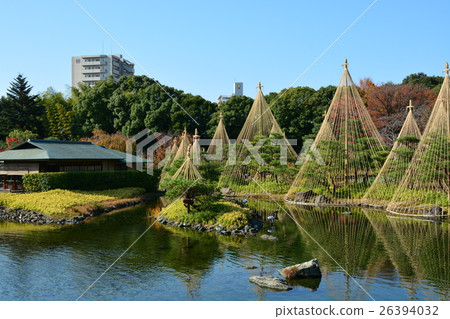 秋天天鵝庭院 26394032