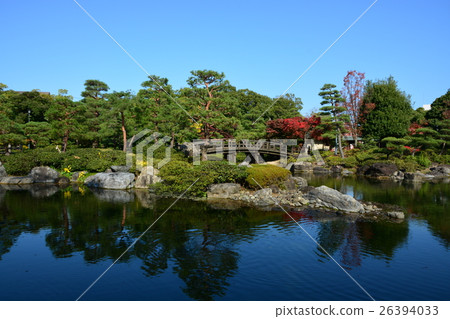 秋天天鵝庭院 26394033