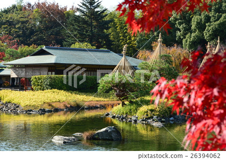 Autumn swan garden Autumn swan garden 26394062