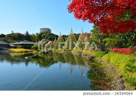 秋天天鵝庭院 26394064