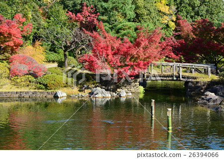 Autumn swan garden Autumn swan garden 26394066