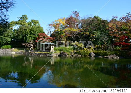 Autumn swan garden Autumn swan garden 26394111