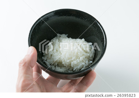 米白背 26395823