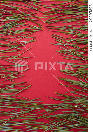 pine needles and red background pine needles and red background 26395898