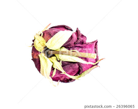 The dried rose. The dried rose. 26396065