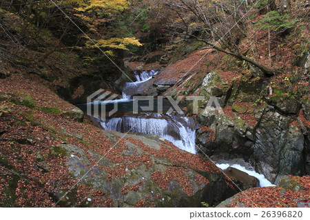 Nishizawa Valley (outward way: Mie Falls) Nishizawa Valley (outward way: Mie Falls) 26396820