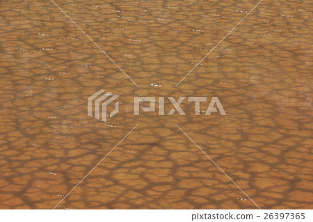 The soil dried had under the flooded The soil dried had under the flooded 26397365
