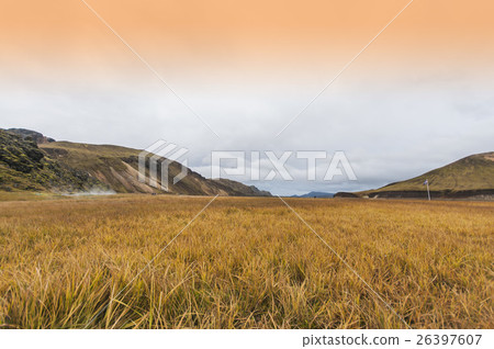 Valley National Park Landmannalaugar in Iceland 26397607
