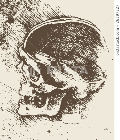 頭骨素描圖 26397827