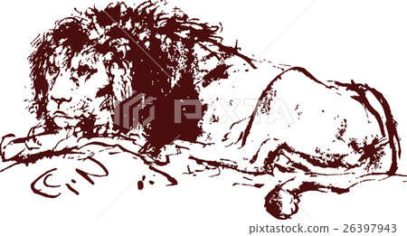 獅子素描圖 獅子素描圖 26397943