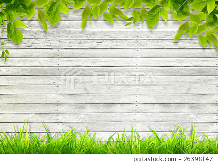 Background material (natural image) Background material (natural image) 26398147
