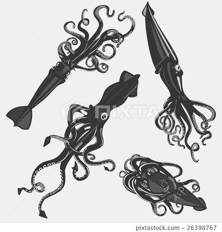 Set of squid tattoo or calamary mascot, mollusk Set of squid tattoo or calamary mascot, mollusk 26398767