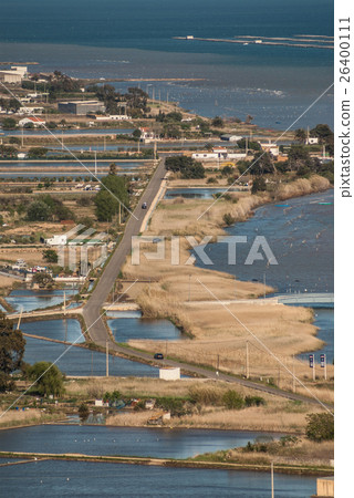 view of a paddy field in Delta de l'Ebre 26400111