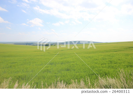 Moravian prairie in the Czech Republic spreading all over Moravian prairie in the Czech Republic spreading all over 26400311