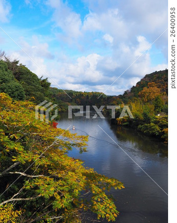The autumn leaves of Chiba Kimitsu Kameyama lake (vertical composition) The autumn leaves of Chiba Kimitsu Kameyama lake (vertical composition) 26400958