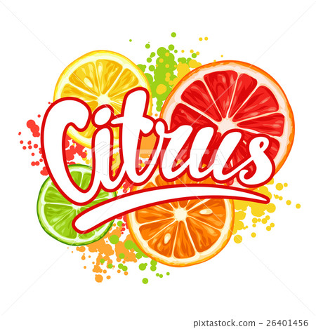 Print with citrus fruits slices. Mix of lemon lime 26401456