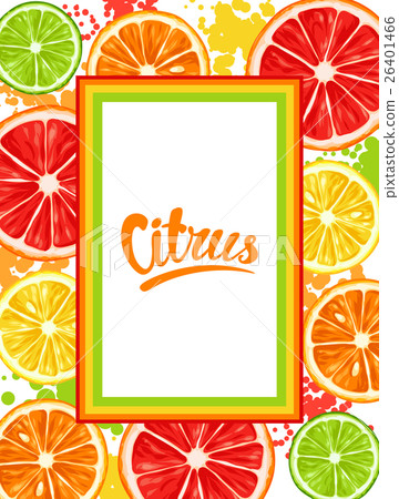 Frame with citrus fruits slices. Mix of lemon lime Frame with citrus fruits slices. Mix of lemon lime 26401466