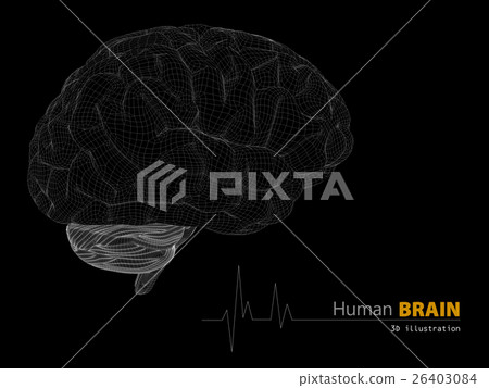 illustration of human brain on black background illustration of human brain on black background 26403084