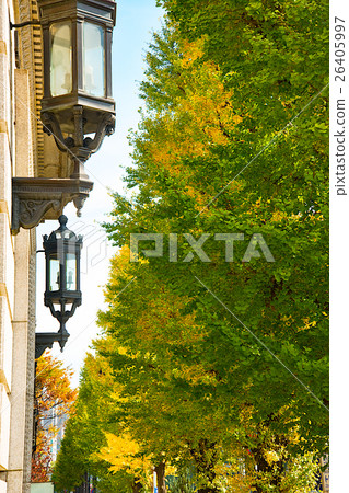 Marunouchi fall Sunday 26405997