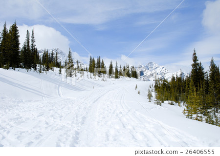 Winter Canadian · Rockies Trail to Peyto Lake Winter Canadian · Rockies Trail to Peyto Lake 26406555