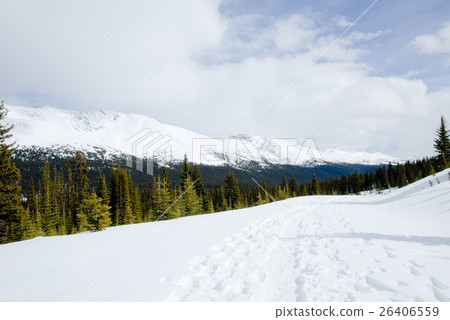 Winter Canadian · Rockies Trail to Peyto Lake 26406559