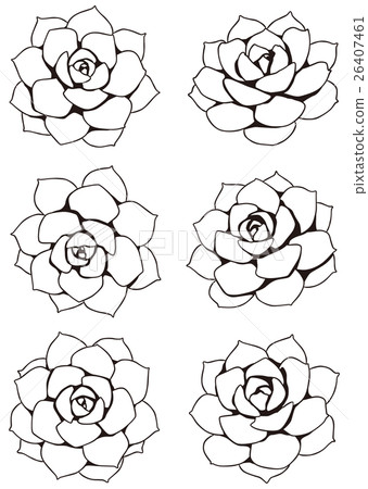 Succulent plants 26407461