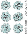 Succulent plants 26407618