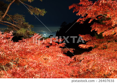 小山寺的紅葉 小山寺的紅葉 26407638