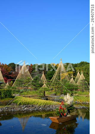 秋天天鵝庭院 秋天天鵝庭院 26407918