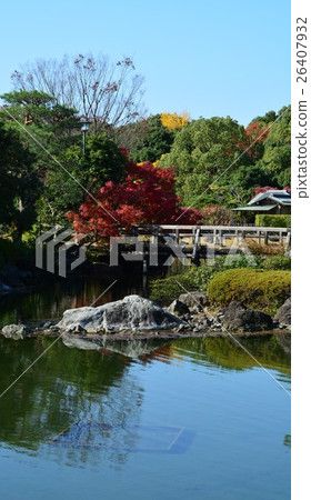 秋天天鵝庭院 26407932