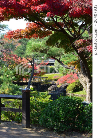 秋天天鵝庭院 秋天天鵝庭院 26407935