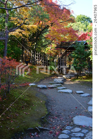 秋天天鵝庭院 秋天天鵝庭院 26407965