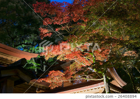 Kamonmon寺廟秋葉 26408894