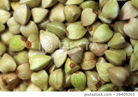 麵團,蕎麥,燕子,小麥,蕎麥,燕麥,小麥,蕎麥,燕麥 麵團,蕎麥,燕子,小麥,蕎麥,燕麥,小麥,蕎麥,燕麥 26409303