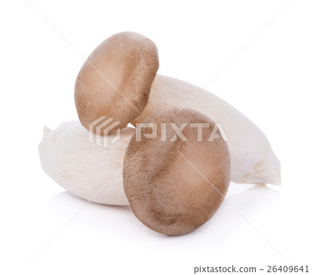 King oyster mushroom Pleurotus eryngii King oyster mushroom Pleurotus eryngii 26409641