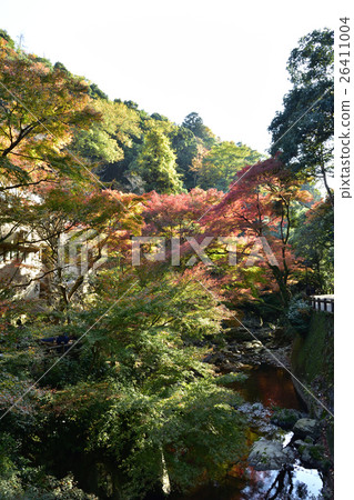 Autumn's Mino Fudo road Autumn's Mino Fudo road 26411004
