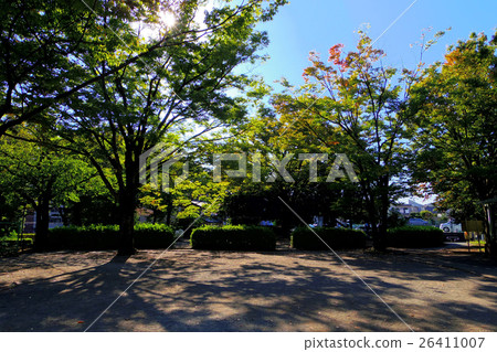秋天的公園 26411007