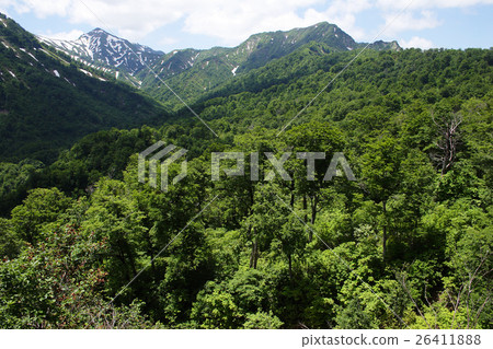 From the virgin forest and Morigon dune eightyari-ri 26411888