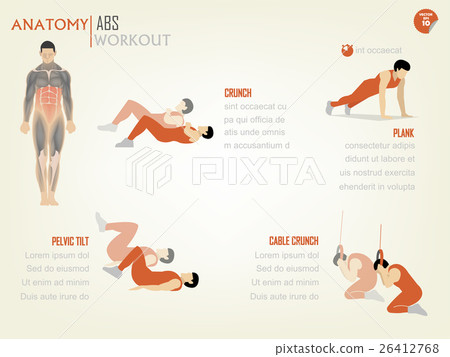 info graphic of abdominal ABS core body workout info graphic of abdominal ABS core body workout 26412768