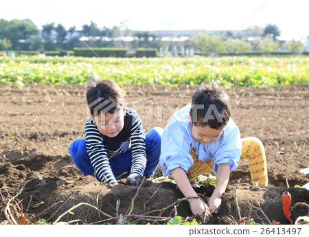 Child swallowing dolly Child swallowing dolly 26413497