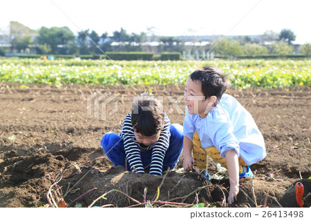 Child swallowing dolly 26413498