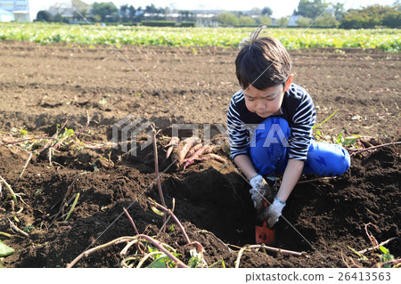 Child swallowing dolly Child swallowing dolly 26413563