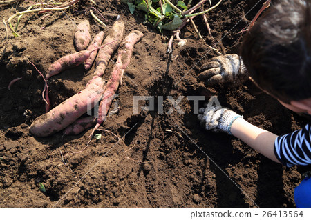 Child swallowing dolly 26413564