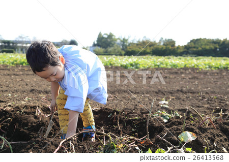 Children swallowing a sweet potato Children swallowing a sweet potato 26413568