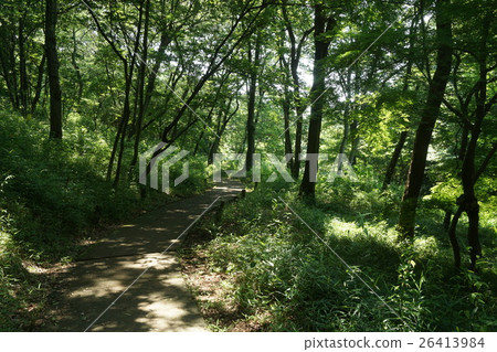 In the summer of Hirayama Hirayama Castle Ruins Park 26413984