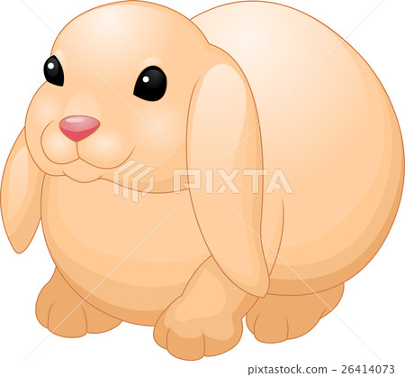 Cute rabbit 26414073